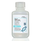 Dilurex™ HepCas+  Buffer (pH 7.5)