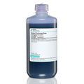 Gomori Trichrome Stain