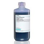 Gomori Trichrome Stain