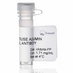 Fractionation Purified Rabbit Anti-Mouse Albumin Antibody (1 vial)