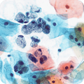 Papanicolaou Stain EA-50, 1 gal, ADI