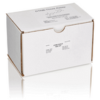DTNB Thiol Oxidative Stress Assay
